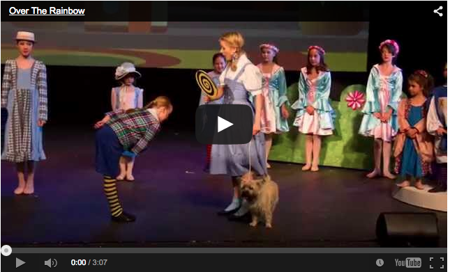 Wizard of Oz | Amy Winner